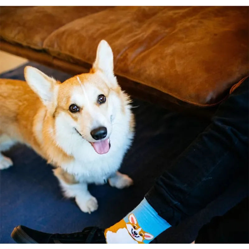 Cute Puppy Cartoon Socks – Corgi & Schnauzer Mid-Tube Unisex Breathable Comfort