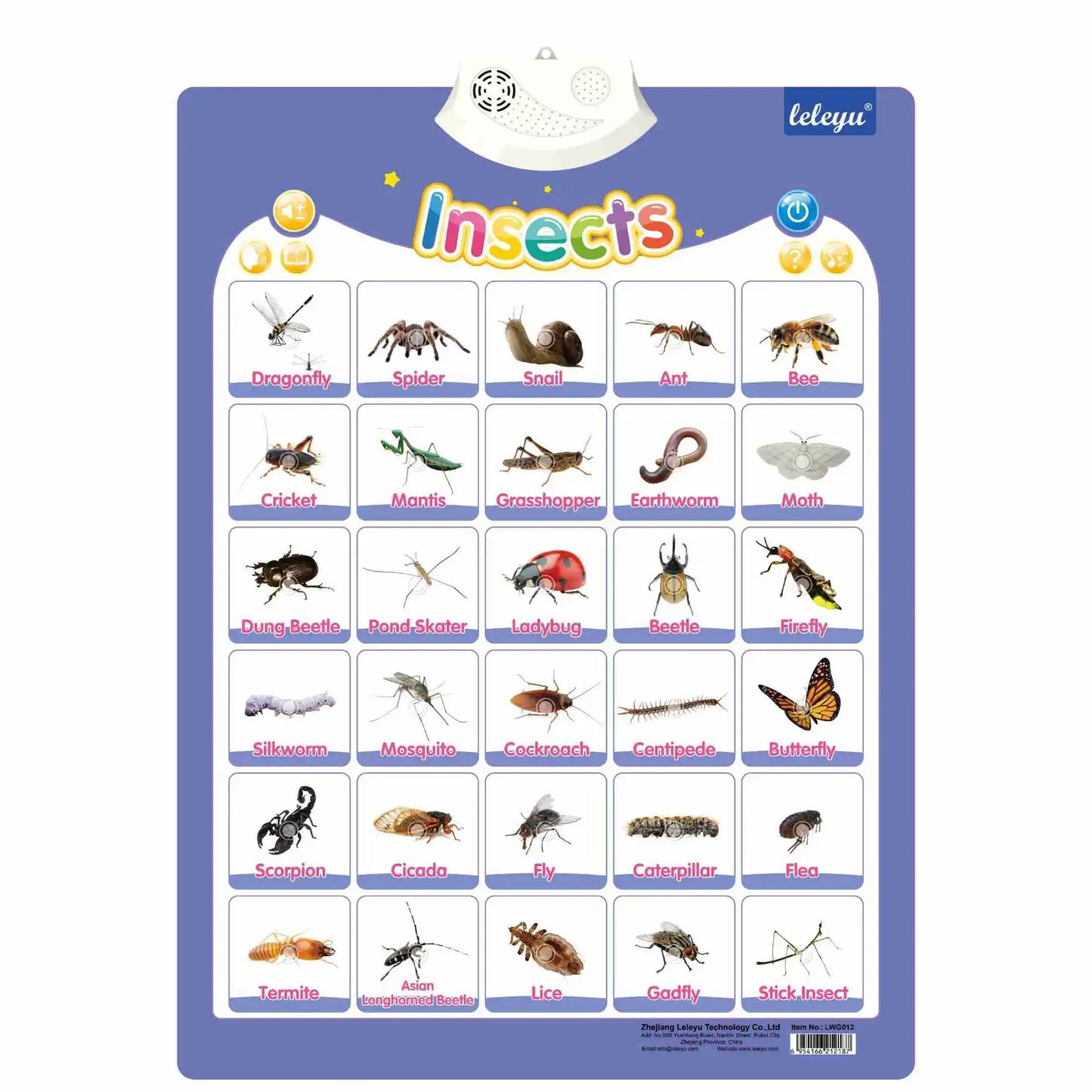 Interactive Talking Sports Wall Chart – Alphabet & Letter Sounds Learning Toy